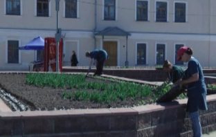 Мусор убрали, цветы высаживают: на улицах Мурома продолжаются работы по благоустройству