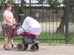 Время — деньги. Госдума приняла во втором чтении поправки к закону о материнском капитале;